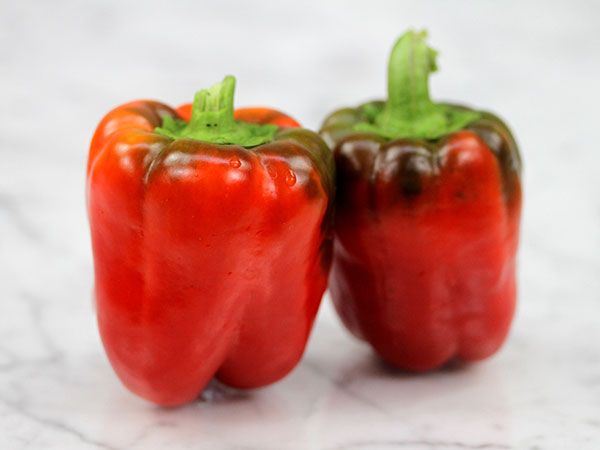 Sweet Peppers