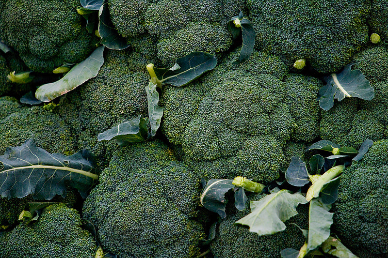 Broccoli