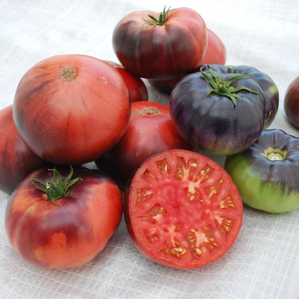 Blue Beauty Tomato