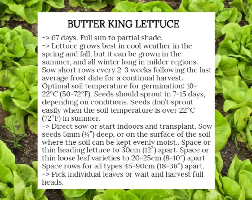 Early Risers Seed Kit