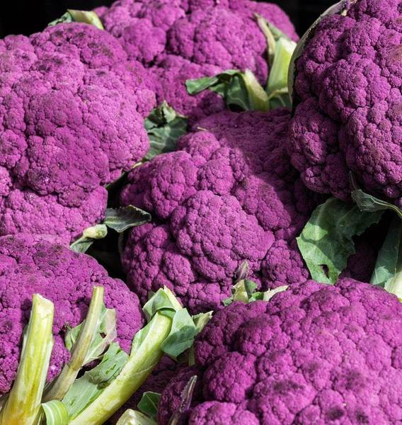 Graffiti Hybrid Cauliflower